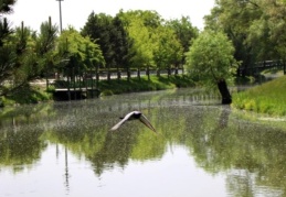 Hava kirliliği de yüzde 20 civarında azaldı