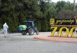 Hayvanat Bahçesi 15 Haziran’da açılacak