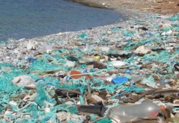 Bir yılda kıyılardan 65 bin 250 ton atık toplandı