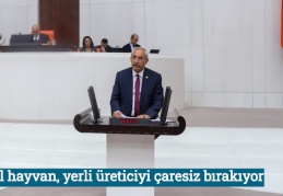 İthal hayvan, yerli üreticiyi çaresiz bırakıyor