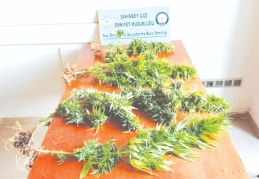 160 kişi yakalandı