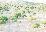 17 sabit yol kontrol noktası oluşturuldu