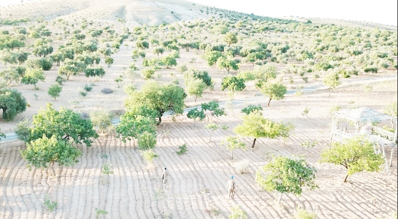 17 sabit yol kontrol noktası oluşturuldu