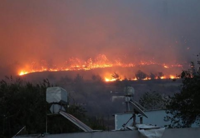 17 Turizm STK’sı Hatay’da orman kuracak
