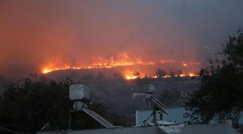 17 Turizm STK’sı Hatay’da orman kuracak