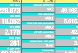 18.052 vaka, 2.178 hasta, 281 ölüm