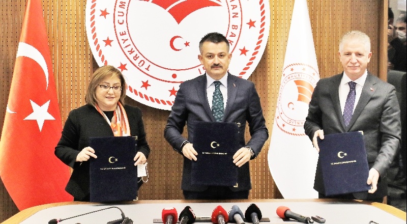 194 bin büyükbaş ve 700 bin küçükbaş hayvan aşılanacak