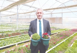 2 milyon çiçek üretiliyor