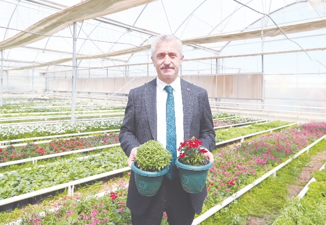 2 milyon çiçek üretiliyor
