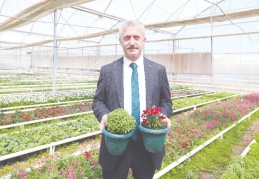 2 milyon çiçek üretiliyor