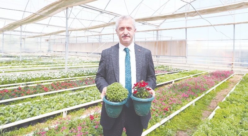 2 milyon çiçek üretiliyor