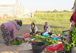 200 kadın tarım eğitimi aldı