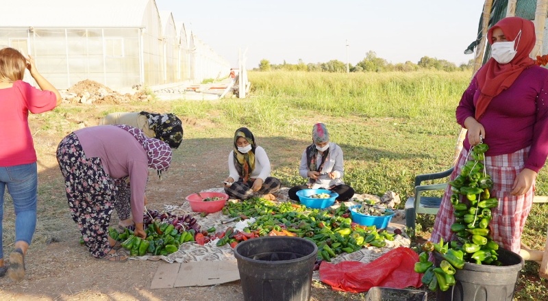 200 kadın tarım eğitimi aldı