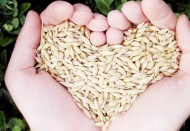 2000 proje desteklenecek yıllık 200 milyon hibe verilecek