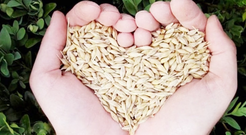 2000 proje desteklenecek yıllık 200 milyon hibe verilecek