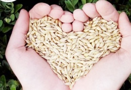 2000 proje desteklenecek yıllık 200 milyon hibe verilecek