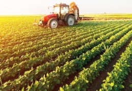 2001-2020 yılları arasında 15 Hatay büyüklüğünde tarım alanı kaybedildi