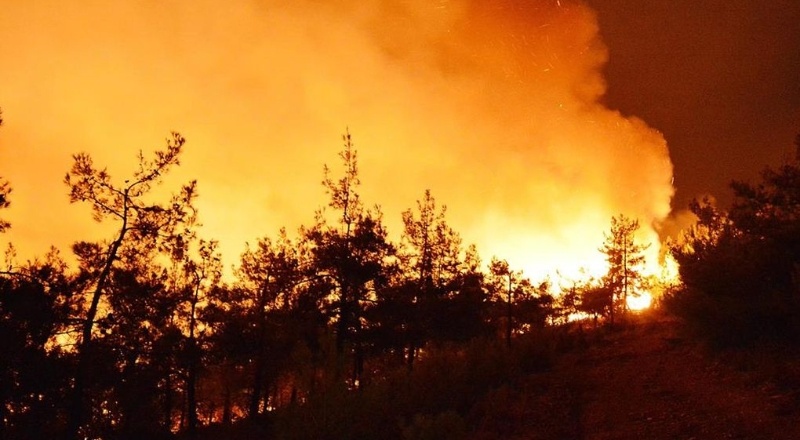 2019'da 2 bin 688 orman yangını çıktı