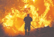 2020 boyunca 227 kişi, çevreyi korumaya çalışırken öldürüldü