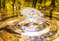 2020’de 18,2 milyar m³ suyun yarısı termik santrallere gitti