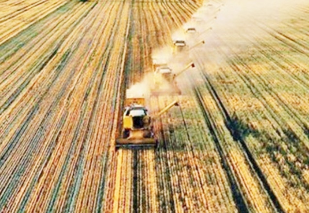 2020’ye ait süt, buzağı ve tohumlama destekleri henüz ödenmedi