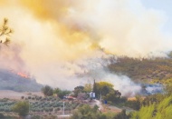 "2021'in Temmuz'u orman yangınları açısından en kötü aydı"