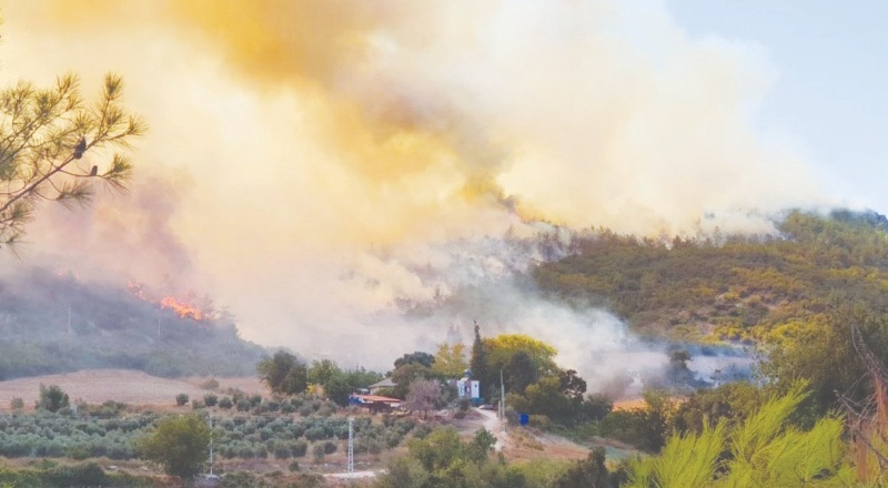 "2021'in Temmuz'u orman yangınları açısından en kötü aydı"