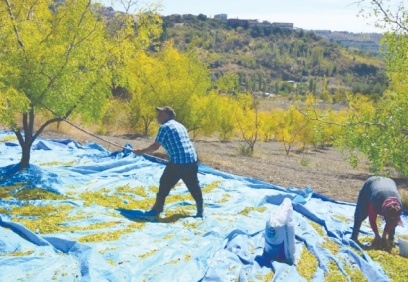 "2022 bütçesi çiftçi için yoksulluk bütçesidir"