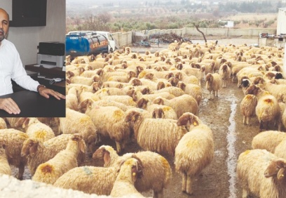 2022 yılında 60 bin damızlık koyun keçi kesime gitti