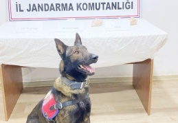 203 şüpheli hakkında yasal işlem yapıldı