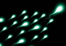 "2045 yılında sperm sayısı '0' olacak"