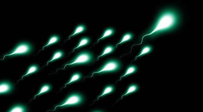 "2045 yılında sperm sayısı '0' olacak"