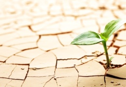 “2050 yılına kadar her 4 insandan birisi su sıkıntısı çekecek"