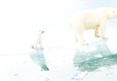2050 yılına kadar net sıfır emisyona geçiş benimsenmeli