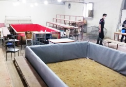 22 horoz kurtarıldı