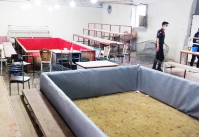 22 horoz kurtarıldı
