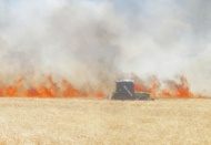 220 dönüm buğday tarlası yandı