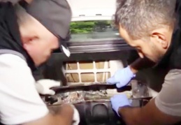 24 ilde 'Tümör' operasyonu: 284 gözaltı kararı