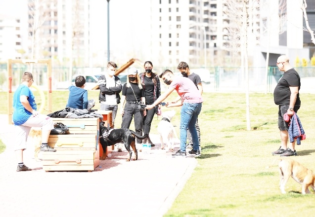 24 tane farklı ahşap eğitim parkuru var