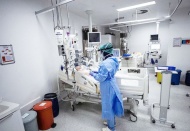 246 kişi daha hayatını kaybetti