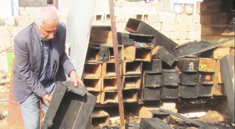 25 arı kovanı yandı, binlerce arı telef oldu