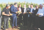 25 bin kilo silajlık mısır tohumu dağıtıldı