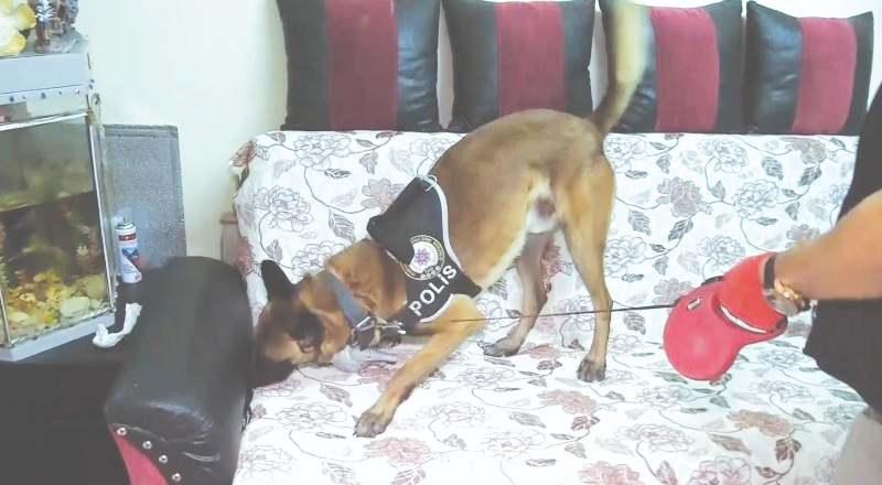 Operasyonda tek seferde 253 kişi gözaltına alındı