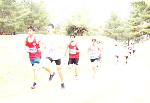 255 atlet yarıştı