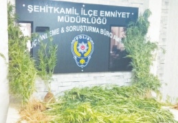 26 şüpheli gözaltına alındı