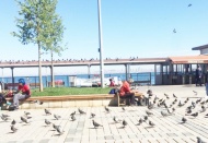 270 milyon aşı anlaşması yapıldı ama aşı yok!