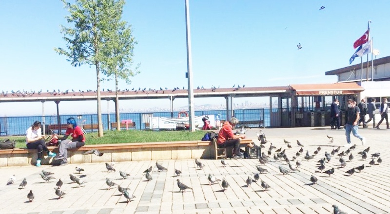 270 milyon aşı anlaşması yapıldı ama aşı yok!