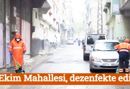 29 Ekim Mahallesi, dezenfekte edildi