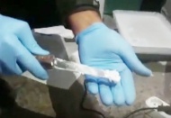 29 şüpheli tutuklandı