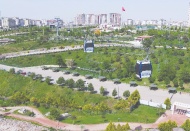 3 milyon 612 bin 911 ağaç dikildi